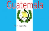 Por: Juanita. Población: 12,639,939 Población: 12,639,939 personas personas El 40.6% de guatemaltecos El 40.6% de guatemaltecos son descendientes de son.