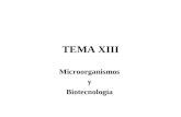 TEMA XIII Microorganismos y Biotecnología. Microorganismos Seres inferiores en tamaño a 0,1mm. Incluyen moneras, muchas protoctistas y muchos hongos.