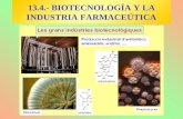 13.4.- BIOTECNOLOGÍA Y LA INDUSTRIA FARMACEÚTICA.