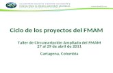 Ciclo de los proyectos del FMAM Taller de Circunscripción Ampliado del FMAM 27 al 29 de abril de 2011 Cartagena, Colombia.