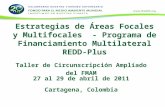 Estrategias de Áreas Focales y Multifocales - Programa de Financiamiento Multilateral REDD-Plus Taller de Circunscripción Ampliado del FMAM 27 al 29 de.