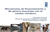 Mecanismos de financiamiento y de género asociados con el cambio climático Véronique Gerard Oficial de Programa Ambiente y Energía Punto focal Pueblos.