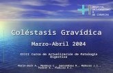 Coléstasis Gravídica Marzo-Abril 2004 XXIII Curso de Actualización de Patología Digestiva Marin-Buck A., Mendoza C., Santandreu M., Mederos J.I., Padron.