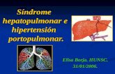 Síndrome hepatopulmonar e hipertensión portopulmonar. Elisa Borja. HUNSC. 31/01/2006. 31/01/2006.