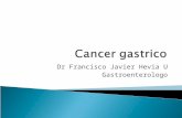 Dr Francisco Javier Hevia U Gastroenterologo. Tumores del estomago: Benignos Malignos Malignos: Carcinoma 90% Linfoma gastrico Tumores Gastrointestinales.