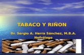 1 TABACO Y RIŇON Dr. Sergio A. Herra Sánchez, M.B.A. Nefrólogo