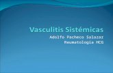 Adolfo Pacheco Salazar Reumatología HCG. Vasculitis sistémicas Inflamación-destrucción de las paredes de los vasos sanguíneos Trastornos heterogéneos.