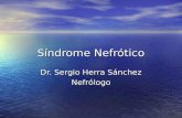 Síndrome Nefrótico Dr. Sergio Herra Sánchez Nefrólogo