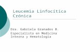 Leucemia Linfocítica Crónica Dra. Gabriela Granados B. Especialista en Medicina Interna y Hematología.