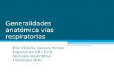 Generalidades anatómica vías respiratorias superiores Dra. Victoria Guevara Arroyo Especialista ORL UCR Anatomía Descriptiva I Semestre 2010.