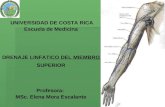UNIVERSIDAD DE COSTA RICA Escuela de Medicina DRENAJE LINFATICO DEL MIEMBRO SUPERIOR Profesora: MSc. Elena Mora Escalante.