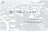Hemodinámica renal Guido Ulate Montero Departamento de Fisiología Universidad de Costa Rica.
