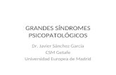 GRANDES SÍNDROMES PSICOPATOLÓGICOS Dr. Javier Sánchez García CSM Getafe Universidad Europea de Madrid.