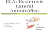 ELA: Esclerosis Lateral Amiotrófica Mª Lledó Tàrrega Porcar R1 MFYC CS Rafalafena.