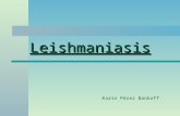 LeishmaniasisLeishmaniasis Karin Pérez Bankoff. Leishmaniasis Son un grupo de enfermedades parasitarias zoonóticas, producidas por diferentes especies.