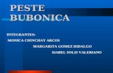PESTE BUBONICA INTEGRANTES: MONICA CHINCHAY ARCOS MARGARITA GOMEZ HIDALGO ISABEL SOLIS VALERIANO.