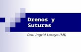 Drenos y Suturas Dra. Ingrid Lacayo (MI). Introducción En la actualidad los médicos en general tenemos que atender pacientes con heridas cutáneas de mayor.