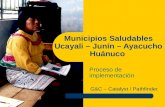 Municipios Saludables Ucayali – Junín – Ayacucho Huánuco Proceso de implementación G&C – Catalyst / Pathfinder.