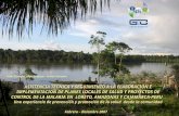 ASISTENCIA TECNICA Y SEGUIMIENTO A LA ELABORACIÓN E IMPLEMENTACION DE PLANES LOCALES DE SALUD Y PROYECTOS DE CONTROL DE LA MALARIA EN LORETO, AMAZONAS.