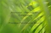 Atención - Percepción - Conciencia Procesos Psicológicos Básicos.