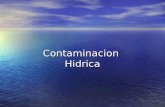 Contaminacion Hidrica. Contaminacion hidrica Origen Origen Causas Causas Consecuancias en la salud Consecuancias en la salud Soluciones Soluciones.