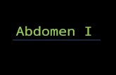 Abdomen I. Proyecciones Anatomía abdomen Radiografía abdomen.