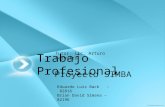 Trabajo Profesional Proyecto SIMBA Eduardo Luis Back – 82816 Brian David Simana – 82196 Tutor: Lic. Arturo Servetto.