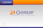 Gestar Visión Integral GESTAR es una familia de soluciones Colaborativas que le permiten manejar Procesos de Negocios altamente interactivos e integrados.