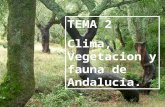 TEMA 2 Clima, Vegetacion y fauna de Andalucía.. Introducción. En este tema trataremos diversos aspectos relacionados con el medio natural de Andalucía.