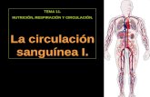 TEMA 11. NUTRICIÓN, RESPIRACIÓN Y CIRCULACIÓN. La circulación sanguínea I.