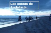Las costas de Andalucía.. Las costas. El litoral de Andalucía mide más de 800km. 800km.