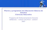 Planes y programas de Educación Básica de Adultos Ciencias Naturales Programa de Perfeccionamiento Docente MINEDUC – CHILE CALIFICA - USACH 2007.