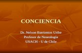 CONCIENCIA Dr. Nelson Barrientos Uribe Profesor de Neurología USACH - U de Chile.