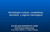 Semiología motora, cerebelosa, sensitiva y signos meníngeos DR NELSON BARRIENTOS URIBE PROFESOR DE NEUROLOGÍA U de Chile, USACH y U Diego Portales.