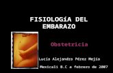 FISIOLOGíA DEL EMBARAZO Obstetricia Lucía Alejandra Pérez Mejía Mexicali B.C a febrero de 2007.