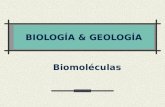 BIOLOGÍA & GEOLOGÍA Biomoléculas. Carbohidratos Proteínas Ácidos Nucleicos Lípidos.