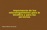 Importancia de los microorganismos para la biosfera y para las personas Importancia de los microorganismos para la biosfera y para las personas Marta Gutiérrez.