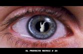 EL PROYECTO MATRIZ # 24 MERCADOS ALIMENTARIOS ARMA DE DESTRUCCIÓN MASIVA III.