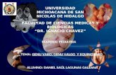 UNIVERSIDAD MICHOACANA DE SAN NICOLAS DE HIDALGO FACULTAD DE CIENCIAS MEDICAS Y BIOLOGICAS DR. IGNACIO CHAVEZ MATERIA: PEDIATRIA TEMA: GENU VARO, GENU.