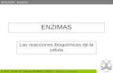 BIOLOGÍA - Enzimas © Prof. Víctor M. Vitoria (Profesor JANO) – Bioquímica 2º bachillerato ENZIMAS Las reacciones bioquímicas de la célula.