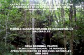 REGIONAL VAUPES T.P en manejo y aprovechamiento de bosques naturales REGIONAL VAUPES CARACTERIZACION DE ESPECIES VEGETALES NO MADERABLES EN EL LOTE DEL.