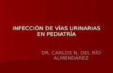 INFECCIÓN DE VÍAS URINARIAS EN PEDIATRÍA DR. CARLOS N. DEL RÍO ALMENDÁREZ.