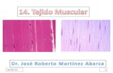 30/01/20141. Que el estudiante: Enumere los tres tipos de músculos. Enuncie las propiedades de la fibra muscular. Describa la unidad contráctil de la.