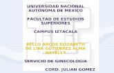 UNIVERSIDAD NACIONAL AUTONOMA DE MEXICO FACULTAD DE ESTUDIOS SUPERIORES CAMPUS IZTACALA BELLO ARCOS ELIZABETH DE LIRA GUTIERREZ ALMA NAYELLY SERVICIO DE.