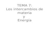TEMA 7: Los intercambios de materia y Energía. Relaciones alimentarias Las relaciones tróficas o alimentarias son las que los seres vivos mantienen con.