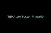TEMA 10: Sector Primario. Tema 10 SECTOR PRIMARIO 1. CONCEPTO DE SECTOR PRIMARIO Y SU IMPORTANCIA Sector primario: extracción de bienes y recursos del.