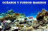 Centro Caixa Madrid Feb-Abril 2012. La vida en el océano El agua de mar es el hábitat más grande y homogéneo de la Tierra, recubriendo prácticamente el.