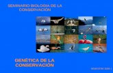 SEMINARIO BIOLOGIA DE LA CONSERVACIÓN SEMESTRE 2009-1 GENÉTICA DE LA CONSERVACIÓN.