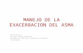 MANEJO DE LA EXACERBACION DEL ASMA Realizado por: M.Cruces Sánchez Fernández MIR Medicina Familiar y Comunitaria H.Bidasoa (15/02/2012)
