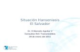 Pan American Health Organization Situación Hanseniasis El Salvador Dr. H Marcelo Aguilar V Consultor Enf. Transmisibles 29 de enero del 2011.